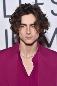Part 4 of my timothée chalamet hair series. Timothee Chalamet Debuts Mustache At The 2020 National Board Of Review Gala Instyle