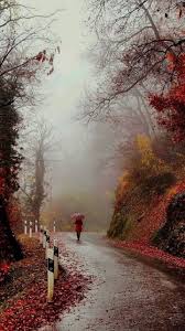 Autumn Emotions On Wet Roads On Autumn Nights All Pleasures And All Pains Remembering The Boughs Of Summer And Autumn Scenery Beautiful Nature Scenery
