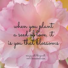 When You Plant A Seed Of Love It Is You That Blossoms Blossom Quotes Mothers Day Quotes Seed Quotes