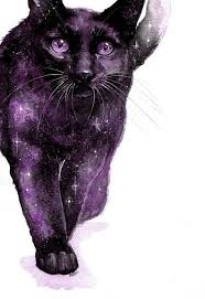 It can also be a great way to warm up before you do any drawing at all. Pounce Cat Art Animal Art Galaxy Art