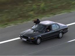 In sabotage and friends for life, however, his car accidents lead. Bmw 7er E32 Alarm Fur Cobra 11 Wiki Fandom