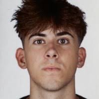 20+ "Daniel Villarroya" profiles