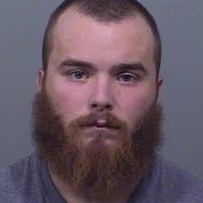 Man arrested in Standish after crashing car, throwing handgun into woods