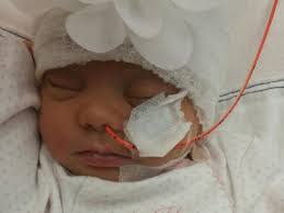 Debbie Mcglone's Instagram, Twitter & Facebook