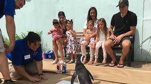 Fleury s 5 year old daughter sends cute note to golden knights goalie dad from cms.nhl.bamgrid.com please check your credentials and try again. Marc Andre Fleury Family Meet Penguin Named In His Honor At National Aviary Wpxi