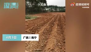 Xem thêm ngày tốt tháng 4 năm 2021 để biết thông tin chi tiết các ngày tốt xấu trong tháng 4/2021. Tuqoerb2ddp4em