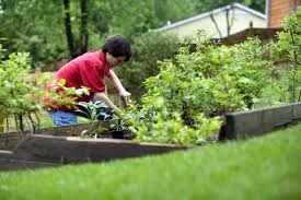 Remove them with roots so that they do not grow repeatedly. How To Remove Leaves From Mulch And Flower Beds Lawnstarter
