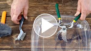 For the home gardener, once or twice a year should keep blades sharp. How To Clean And Sharpen Old Rusty Pruners Garden Gate