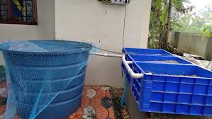 Aquaponics Kerala Home Facebook