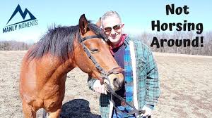 Can I Put My Trust In A Horse Horses Animals Trust Me