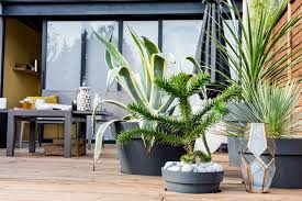 Cache Pot Tres Haut Selection Cote Maison
