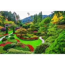 We did not find results for: Wallpaper Dinding 3d Custom Murah Berkualitas Gambar Pemandangan Taman Bunga Shopee Indonesia