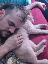 Strawberry blond cat missing in Snapdragon area