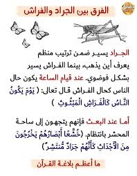 Pin By Mousli Mah On Knowledge Arabic Quotes Wisdom Quotes