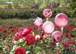 Gartendeko Gartendekoration Glaskugeln Rosenkugeln Aus Glas Buga07 Jpg 875 620 Gartendekor Garten Deko Gartendekoration