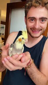 Bienvenido Carlitos: La llegada de un nuevo hijo