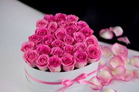 We did not find results for: 3 Dozen Pink Roses In Heart Shaped Box In Miami Fl Luxury Flowers Miami