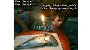13 Meme Kucing Ini Lucu Banget Bikin Gemes Campur Ngakak