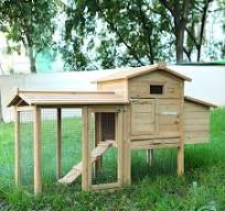 Amazon.com: Gallineros grandes de madera con cajas de ...