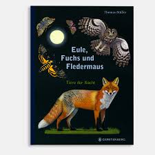 Er studierte an der hochschule für grafik und buchkunst in leipzig, wo er heute als freier illustrator lebt. Kinderbuch Eule Fuchs Und Fledermaus Tiere Der Nacht Gerstenberg Verlag 978 3 8369 5838 7 Echtkind