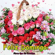 Resultado de imagem para Linda mensagem de domingo