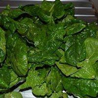 Come cucinare spinaci surgelati in padella. Spinaci In Padella Senza Olio Ricette Di Cucina Gustosa Ricerca