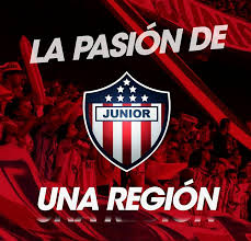 Las cinco razones de la eliminación de junior de la copa libertadores. Facebook