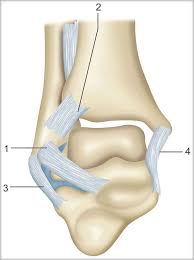 Pain or discomfort when sitting down, especially if it gets worse after sitting for a long time. Jaypeedigital Ebook Reader