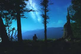 Image result for images man alone sit in forest silhouette