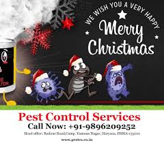 Are you looking for the best pest control service company in singapore? Pest Control Services Pestcs Profile Pinterest