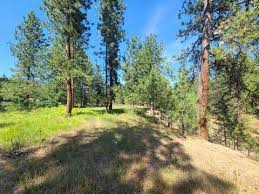We did not find results for: Chewelah Homes For Sale Chewelah Wa Real Estate Movoto