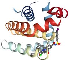 Image result for BCL2 Inhibitor
