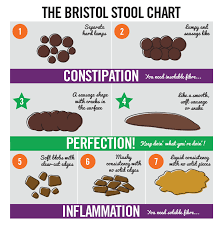 26 logical constipation stool chart