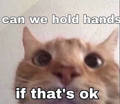 11 Tys Otmetok Nravitsya 67 Kommentariev Cats Cats Cats Candlecats V Instagram Take Care Of Yourself Dm Me If Cute Memes Cute Love Memes Funny Memes