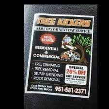 If you have any questions about palm tree removal services, or if you need palm tree skinning service in south florida, please contact us at. The 10 Best Tree Trimming Services In Palm Desert Ca 2021