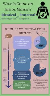 identical vs fraternal explaining your twin ultrasound