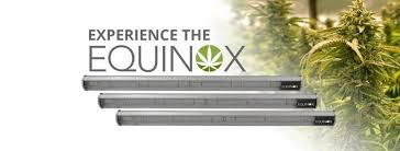 Cynthia cindy aurora vortex is a major character in the jimmy neutron franchise. Equinox Grow Light Home Facebook