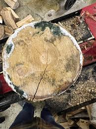 Image result for site:byggahus.se svamp