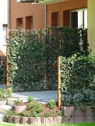 Hedera Helix Woerneri Immergruner Efeu Xxl Produkt Das Neue Begrunungselement Hecke In 2020 Sichtschutz Garten Gunstig Sichtschutz Garten Ideen Gunstig Efeu