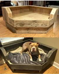 Cama De Casal Com Casinha De Cachorro Pin Em Animais