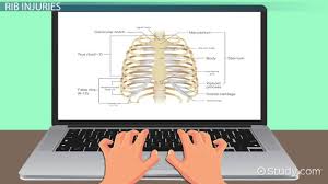 Rib Injury Treatment Healing Time Video Lesson Transcript Study Com