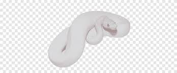 5,594 transparent png illustrations and cipart matching snake. White White Snake Png Pngegg