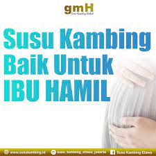 Daun katuk ni sejak turun temurun menjadi amalan ibu2 dahulu kala untuk memperbanyakkan susu badan. Susu Kambing Baik Untuk Ibu Hamil Susu Kambing Etawa Naima