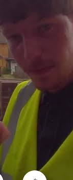 Hi everyone . Is there anyone that cuts back trees and is fairly  reasonable? Thanks .