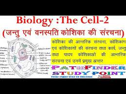 Theodor schwann and matthias jakob schleiden elucidated the principle that plants and animals are made of cells, concluding that cells are a common unit of structure and development, and thus founding the cell theory. Biology The Cell 2 Difference Between Plant Animal Cell With Structure In Hindi Youtube