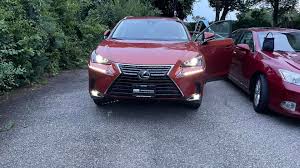 Image result for Cadmium Orange 2021 LC