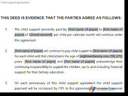 The convention on the rights of the child explains who children are, all their rights, and the responsibilities of governments. Child Support And Parenting Plan Agreement Template