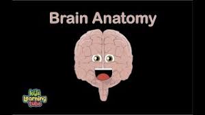 Subscribe for more great compilations 3 times a week! Videos Kids Learning Tube