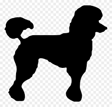 Maybe you would like to learn more about one of these? Poodle Clipart Transparent Poodle Silhouette Png Free Transparent Png Clipart Images Download