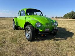 Image result for Delta Green 1969 Volkswagen